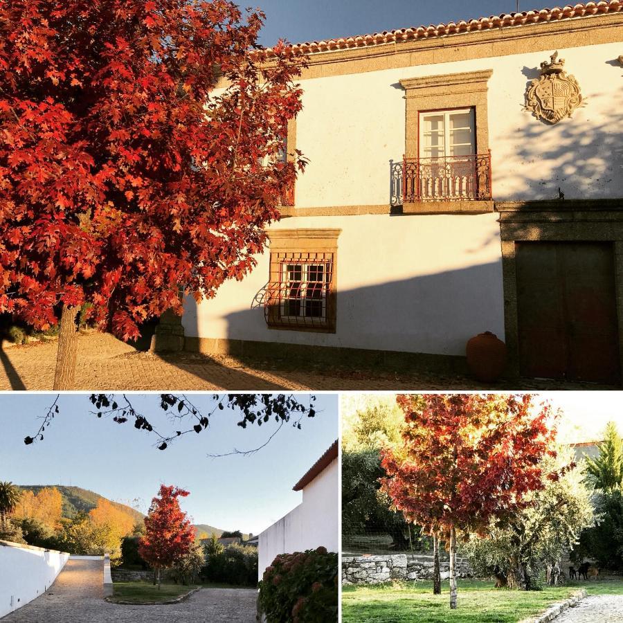 فيلا Quinta Da Porta - Solar De Vale De Prazeres المظهر الخارجي الصورة