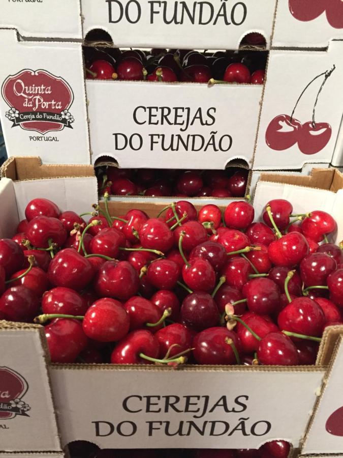 فيلا Quinta Da Porta - Solar De Vale De Prazeres المظهر الخارجي الصورة