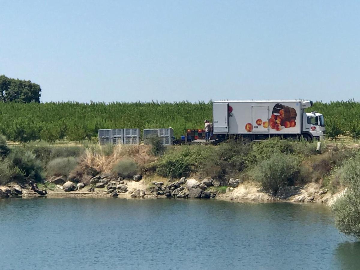 فيلا Quinta Da Porta - Solar De Vale De Prazeres المظهر الخارجي الصورة