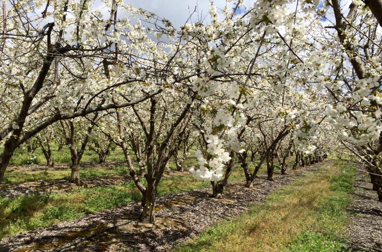 فيلا Quinta Da Porta - Solar De Vale De Prazeres المظهر الخارجي الصورة