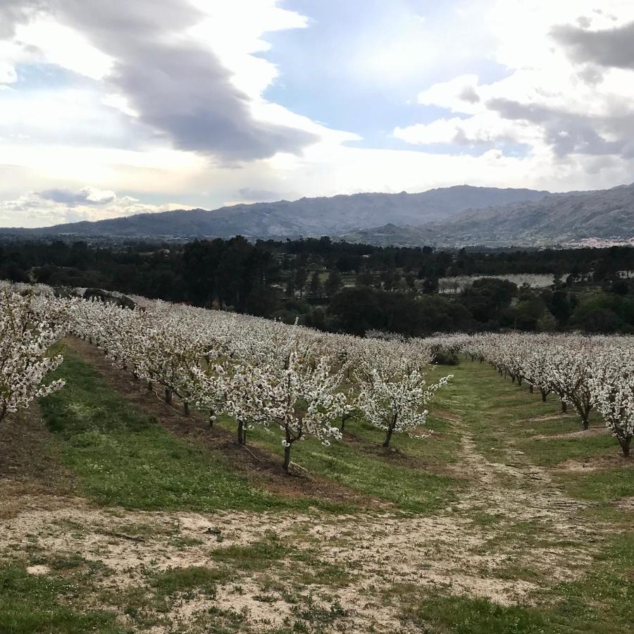 فيلا Quinta Da Porta - Solar De Vale De Prazeres المظهر الخارجي الصورة