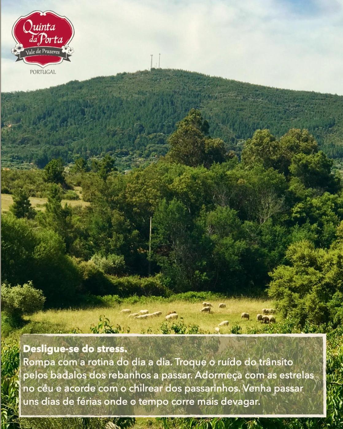 فيلا Quinta Da Porta - Solar De Vale De Prazeres المظهر الخارجي الصورة